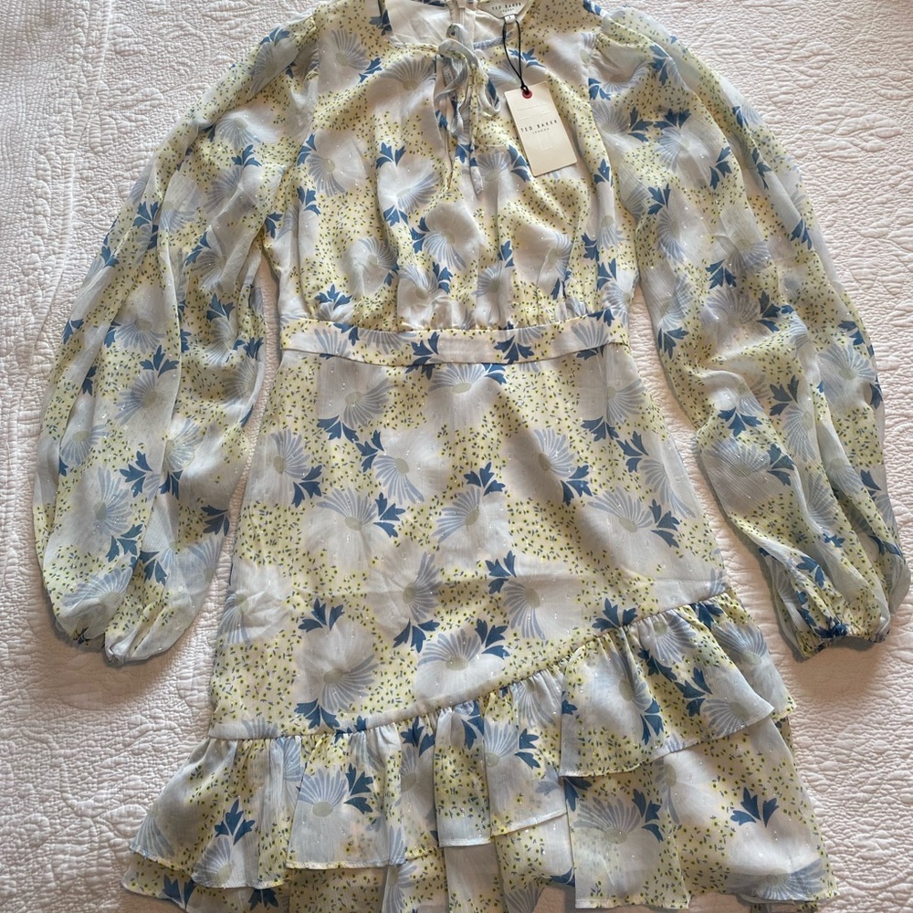 Ted Baker Blue and White Floral Mini Dress